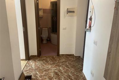 Apartament cu 2 camere decomandat, mobilat în Sud - 19