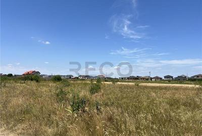 RECO IMOBILIARE,TEREN Cihei - 2