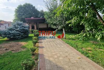 Casa spatioasa de vanzare in Alba Iulia - 3
