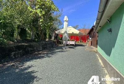 Casa de vacan?a in Gro?ii Noi, jude?ul Arad Casa de vacan?a in Gro?ii Noi, jude?ul Arad - 8