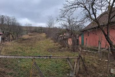 Casă cu Teren 1400 Mp în Tău - 7