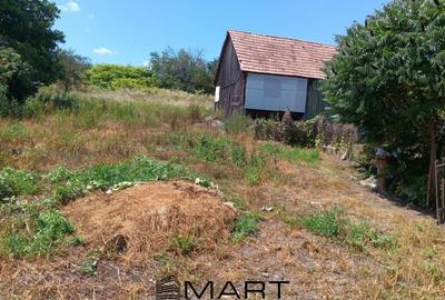 Casă individuală cu 4 camere cu Teren 2000 Mp în Alțina - 8