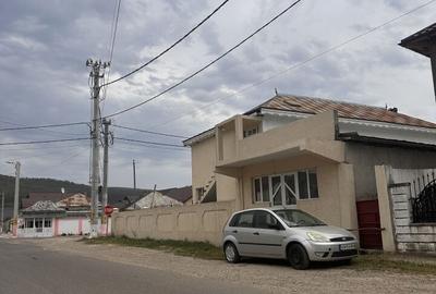 Casă cu 4 camere în Homocea