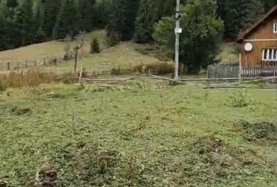 Teren Construcții intravilan de 6000 mp, în Ortoaia - 10