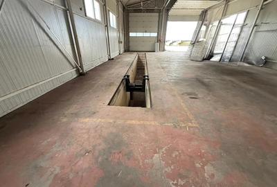 Inchiriere hala service - 5