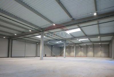 Spațiu comercial, de 6,675 mp, în Biharia - 1