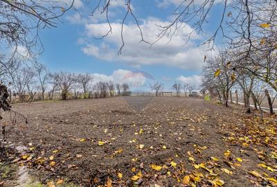 Casa cu anexe si teren de 759mp in Misca - 2