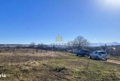 Spațiu comercial, în Cristian - 4