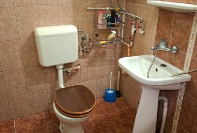Casă individuală cu 3 camere cu Teren 2850 Mp în Comloșu Mare - 5