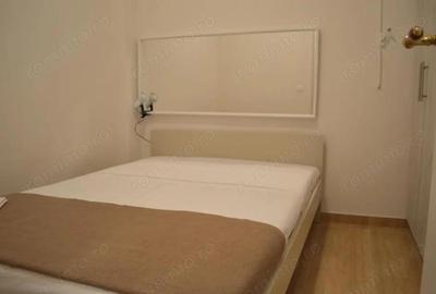 Apartament cu o camere de inchiriat in zona Aradului - 3