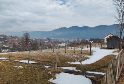 Teren de 1598 mp, în Central - 5