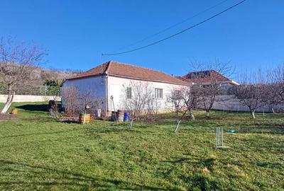 Casă cu 3 camere cu Teren 3182 Mp în Oncea