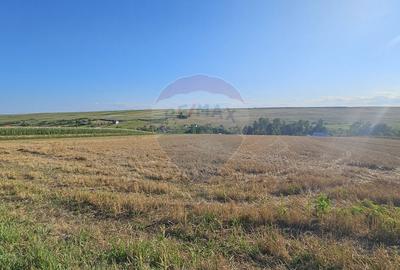 Teren Construcții intravilan de 7500 mp, în Moara Carp - 8