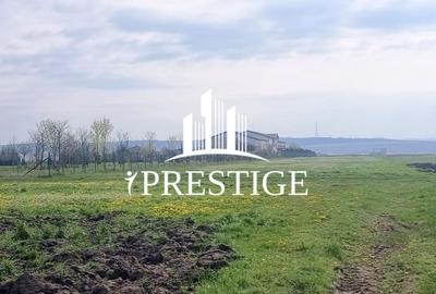 Teren agricol extravilan de 10000 mp, în Șura Mică - 1