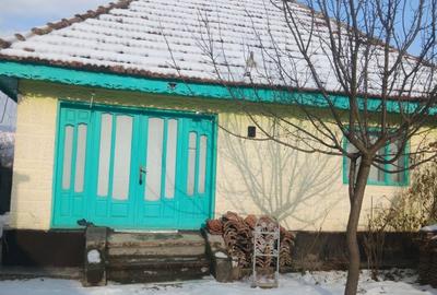 Casă cu 3 camere în Oituz - 5