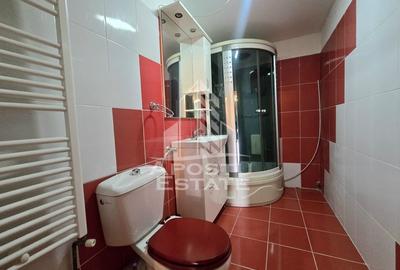 Apartament cu 4 camere si 2 bai,  an 2009,  zona Lipovei - 22