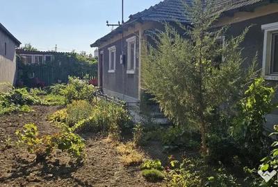 Casă cu 3 camere cu Teren 748 Mp în Palazu Mare - 3