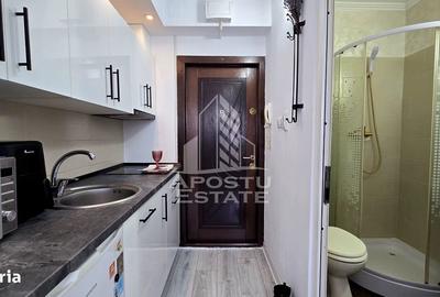 Garsonieră, mobilată în Mehala - 2