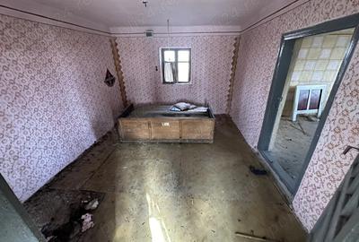 Vand Casa in Siclau , Judetul Arad 1500Mp - 2