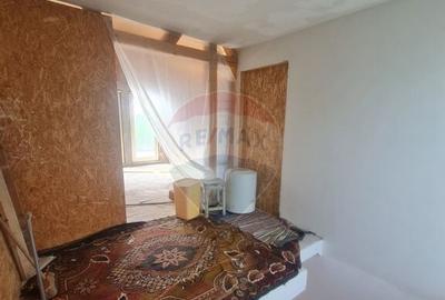 Casa cu 5 camere de vanzare (P+M) in comuna Bolotesti - 6