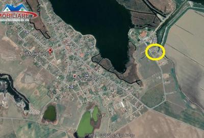 Teren intravilan de loc.Murighiol Jud.Tulcea - 9
