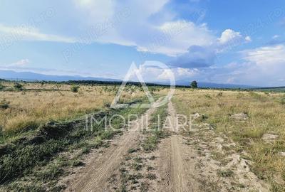 Teren de vanzare Preajba - 1