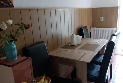 Apartament cu 2 camere semidecomandat în Brezoi - 4