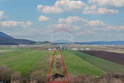 Teren intravilan de vanzare/ Codlea | 10.000mp/industrial - 2