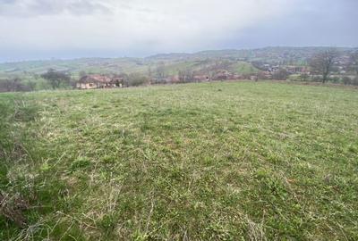 Teren de 5400 mp, în Vârciorog - 2