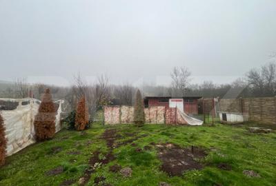 Casa 6 camere + anexa, 811 mp teren, zona Leamna de Sus - 4