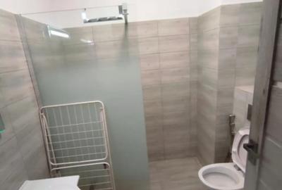 Apartament cu 2 camere semidecomandat în Siloz - 4