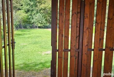 Casă cu 5 camere în Peșteana - 3