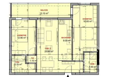 Apartament cu 3 camere decomandat în Veterani - 6