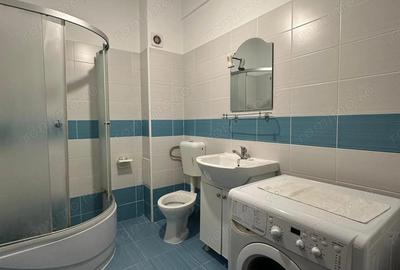 Garsoniera Decomandata - Metalurgiei - Drumul Binelui - 11