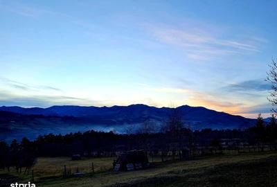 Teren de 13000 mp, în Asău