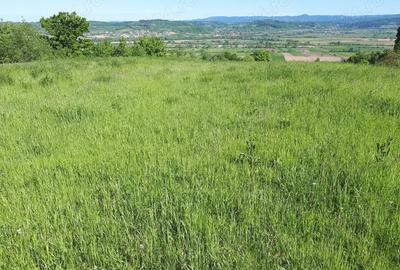 Vand case ?i terenuri la tara - 10