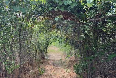 Teren de 6080 mp, în Bariera Vâlcii