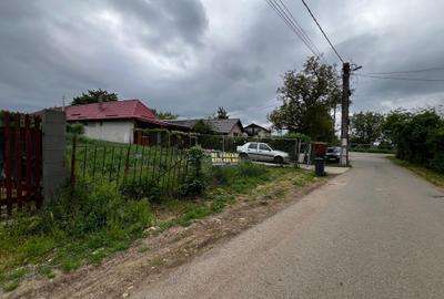 Teren intravilan in Viile Ianculestiului din Carei - 6