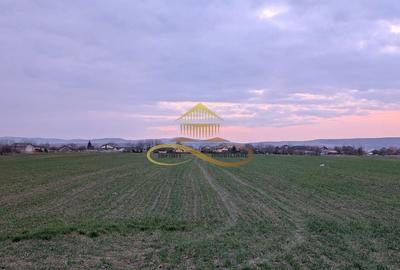 Teren de 7774 mp, în Hemeiuș - 1