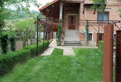 Casă cu 4 camere în Târgu Logrești - 7