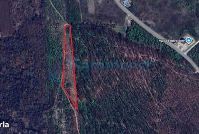 Spațiu comercial, în Paleu