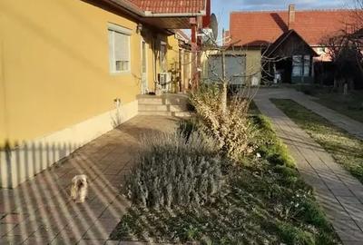 Casa si teren langa Oradea si Baile Felix - 12