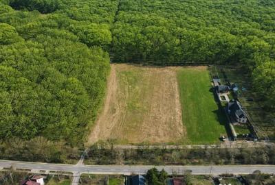 Apartament în Snagov - 6