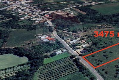 Teren Construcții intravilan de 3475 mp, în Dumbrăveni - 2