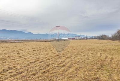 Teren agricol extravilan de 11600 mp, în Cristian - 6