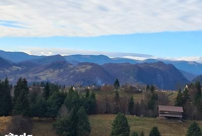 Teren de 1200 mp, în Dâmbovicioara - 4