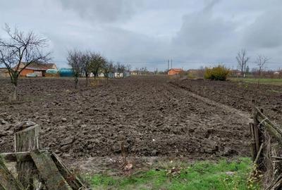 Casă cu 4 camere cu Teren 2300 Mp în Cenad - 4