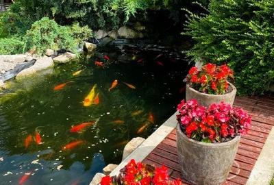 Casă individuală cu 5 camere cu Canalizare în Giroc - 30