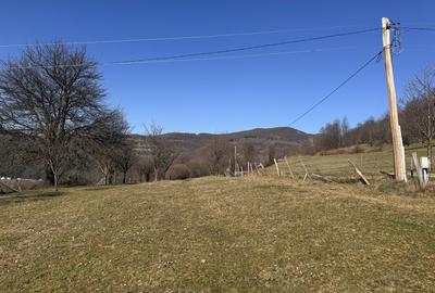 Spațiu comercial, în Negreni - 5