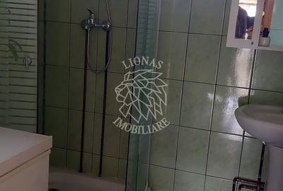 Casă cu 2 camere în Bociu - 3